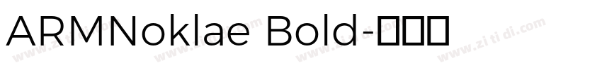 ARMNoklae Bold字体转换 ARMNoklae Bold字体转换